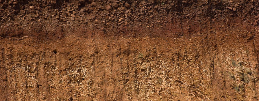 soil image